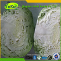 Chinese Beijing Small Sweet Cabbage For Sale